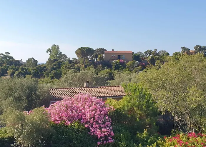 Maison Typique Corse Pour 4 Personnes Zonza