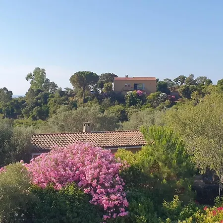 Casa Foci - Maison T3 Zonza